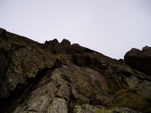 P1010012.JPG