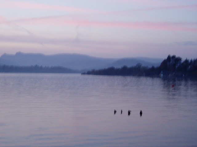P1010024.JPG
