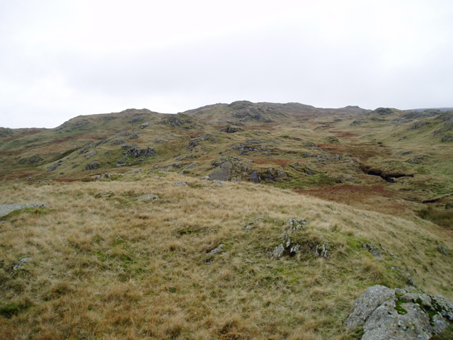 P1010038.JPG