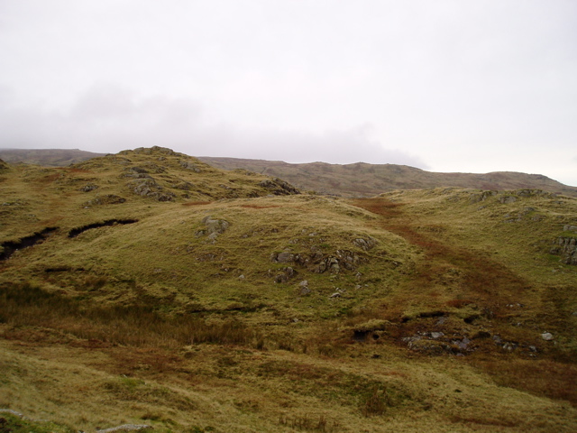 P1010039.JPG