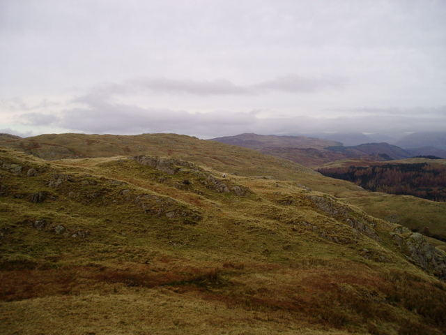 P1010040.JPG