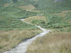 DSC00125.JPG