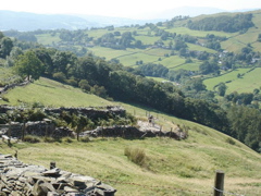 DSC00120.JPG