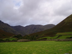 P1010002.JPG