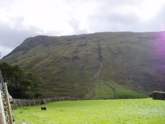 P1010004.JPG