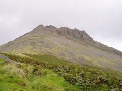 P1010016.JPG