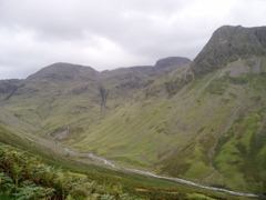P1010017.JPG