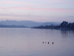 P1010024.JPG