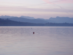 P1010025.JPG