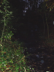 P1010026.JPG