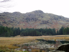 P1010037.JPG