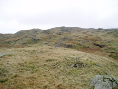 P1010038.JPG