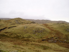 P1010039.JPG