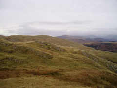 P1010040.JPG