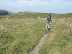 DSC00135.JPG