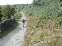 DSC00130.JPG